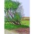 20120823012553-hockney_llegada_primavera_woldgate