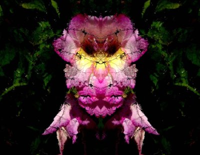 20120823164018-flower_behind_web_mirtored