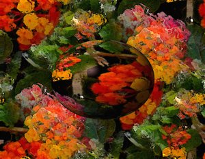 20120823164534-flowers_with_oval