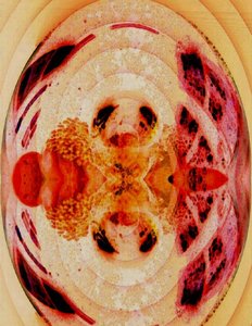 20120823170739-pink_paperweight_orb
