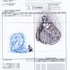 20120823183135-ta_project_gallery