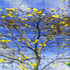 20120823185246-abstract