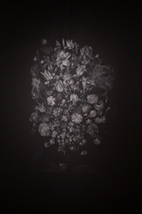Still Life in a Vase (After Brueghel),Sarah Frazier
