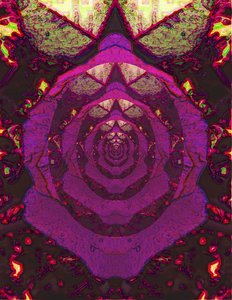 20120824022318-rose_reflecting