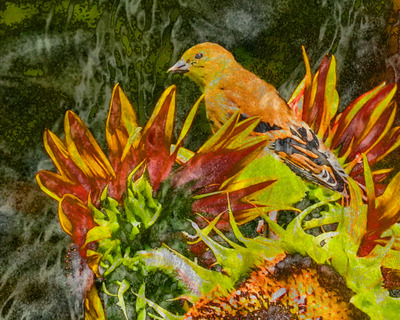 20120824023221-postcardsartslant