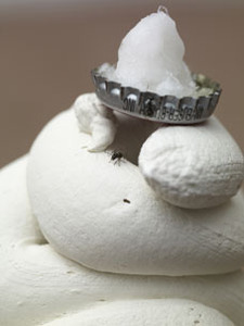 20120824153747-gateau_blazy_tbd