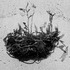 20120824163940-still_life_competition4a