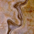 20120824174825-holmes_hope004