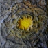 20120824175153-holmes_hope006
