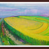 20120824210238-field_of_bittercress