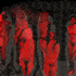 20120825154306-particle_pageant