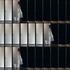 20120825225721-doorop4