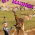 20120826002043-rotten_meat_gallery_utter_madness