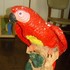 20120826015704-parrot20
