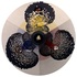 20120826101846-scanningelectron