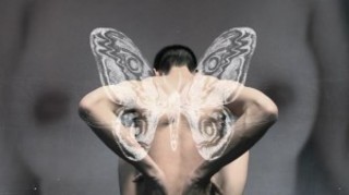 Moth,Mu Xi