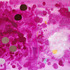 20120826174022-blood_river_rocks_800