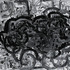 20120826174328-monster_8in