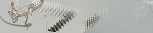 20120827184923-goodbye-goodbye90_wx18_h