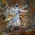 20120827185710-vitruvian_space-man