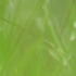 20120827224253-serce-_kadr