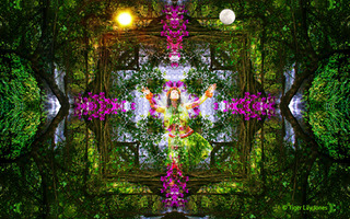 The Immaculate Forest Prayer Dance,Tiger Lily Jones