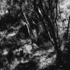 20120827235615-deborah_farnault_wildthingsare004_web