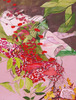 20120828001920-gmf1101_the_languid_lady
