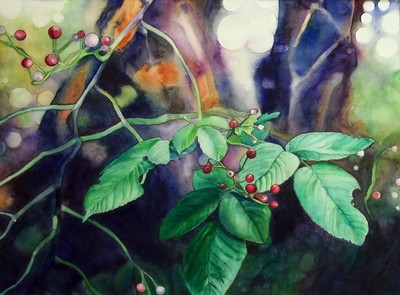 20120828034803-aislinn_lowry__soft_focus_memory_rose_hips
