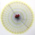 20120828051048-flower_put