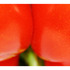 20120828212952-ripe3026