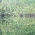 20120829200855-de_image