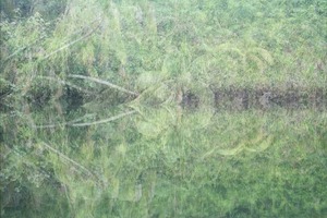 20120829200855-de_image
