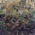 20120829201413-edit_image