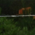 Falling_still