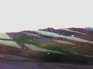 Falling_still_2