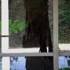 Falling_still_3