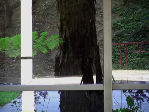Falling_still_3