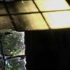 Falling_still_5