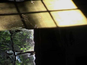 Falling_still_5
