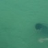 20120830130238-water