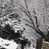 20120830132814-winter_path_-_closer_crop