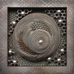 Hive 2,Carol Brookes