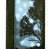 20120830191731-montereycypress-cc-72-10in