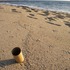 20120830192301-reef_cycle