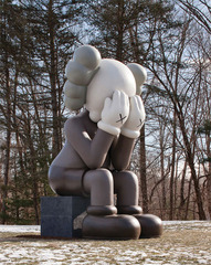 COMPANION (PASSING THROUGH),KAWS