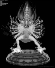 Core of Wrathful King Kong (X Ray Mode) + Core of Wrathful King Kong (Anger Brain Pathway) ,Lu Yang
