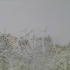 20120902125205-2012-08-01_16-09-40_968