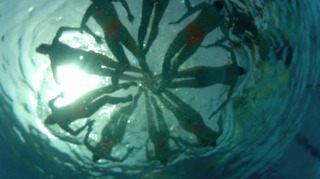 ROSAS,Marinella Senatore