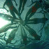 20120902144303-nuoto_1